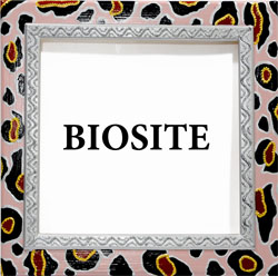 picture link to biosite