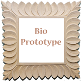 picture link to biosite prototype