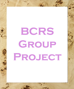 picture link to group 5 BCRS project