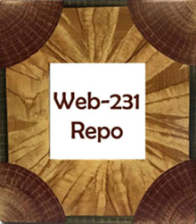 picture link to web-231 repository